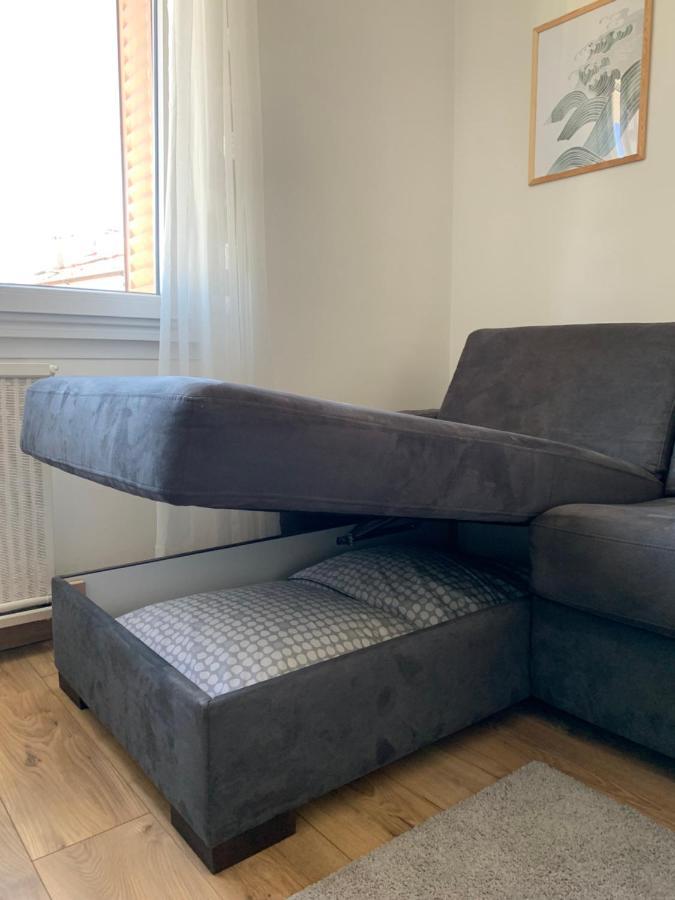 Appartement Cosy Proche Du Centre Annecy Eksteriør bilde